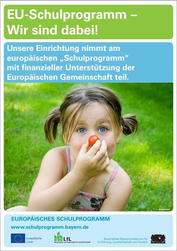 EU Schulprogramm