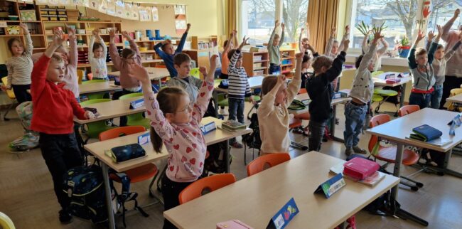 Die Giraffen strecken sich